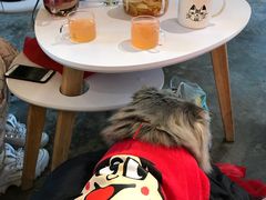 -喵屿·大理花园猫咖