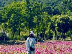 -南北湖风景区