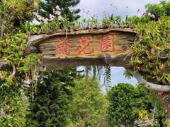-东莞植物园