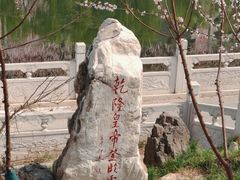 -桃花堤公园