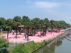 -苏州太湖西山岛开心农场