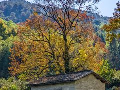 -塔川景区