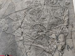 -中国地质大学逸夫博物馆
