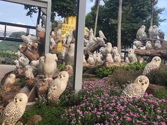 -东芭乐园