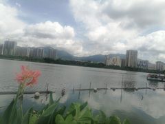 -飞来湖湿地公园