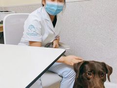 -谐和贝康宠物医院24小时·宠保定点(急重症转诊中心)