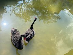 -梧桐人家中国太平国际健康颐养社区