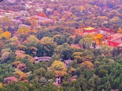 -香山公园