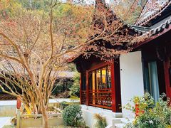 -十八棵（老龙井）御茶园(老龙井店)