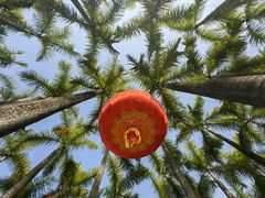 -深圳国际园林花卉博览园