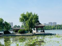 -济南大明湖景区