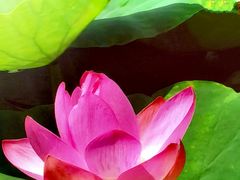 -天津东丽湖风景区