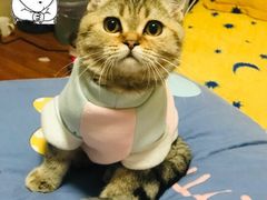 -南城香(欧陆经典万兴苑店)