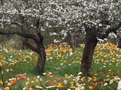 -名花谷生态庄园