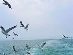 -海驴岛(荣成市)