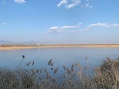 -野鸭湖国家湿地公园