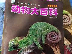 -新华书店(沙坪坝书城店)