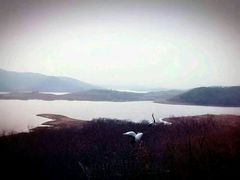 -高家大院烤全羊