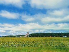 -塞罕坝国家级自然保护区