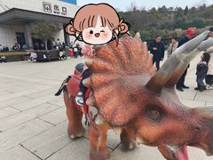 -中国西峡恐龙遗迹园