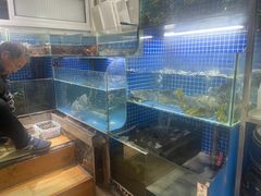 -开小灶(公望街店)