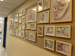 -杭州贝瑞斯美华妇儿医院·早孕·产检·儿科