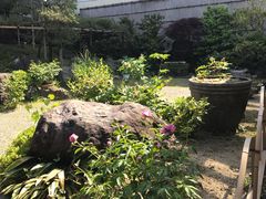 -中村藤吉(本店)