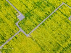 -汉长安城未央宫国家考古遗址公园