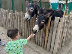 -水上乐园·欢乐世界