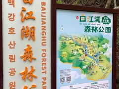 -广州白江湖森林公园