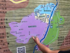 -汤旺河林海奇石景区