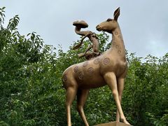 -石岛赤山风景区