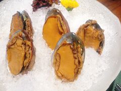 手工冰镇鲍鱼-木棉·醉心粤味(COCO Park店)
