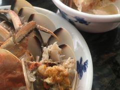 -蚝专家