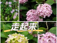 -杭州城北体育公园