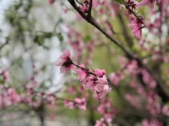 -天鹅湖体育公园