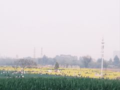 -三圣花乡旅游区