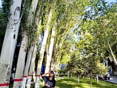 -新疆医科大学第一附属医院