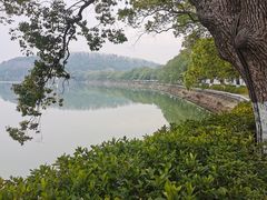 -东湖落雁景区