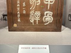 -北京大学赛克勒考古与艺术博物馆