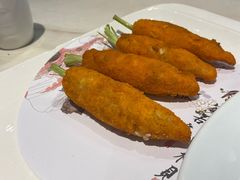 -丁老爷子苏香圆