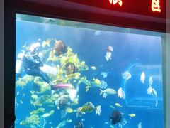 -太平洋海底世界