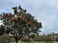 -中国科学院西双版纳热带植物园