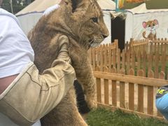 -鄂尔多斯野生动物园