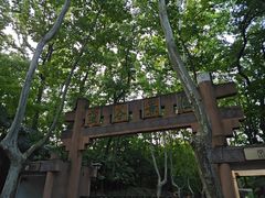 -灵谷景区