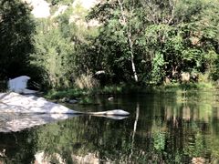 -碓臼峪自然风景区