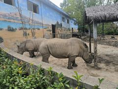-西安秦岭野生动物园