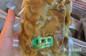 Vegetarian Intestines