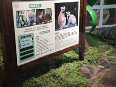 -绿色星球动物主题公园