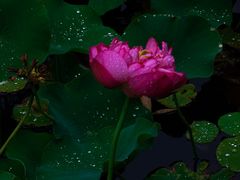 -沐仙湖湿地公园
